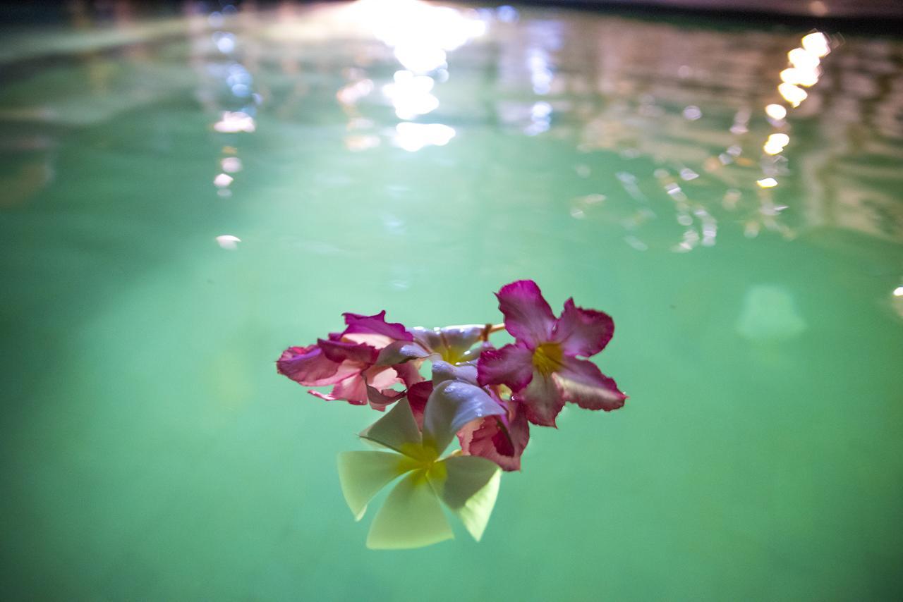 Green Diamond Villa Gili Trawangan Buitenkant foto